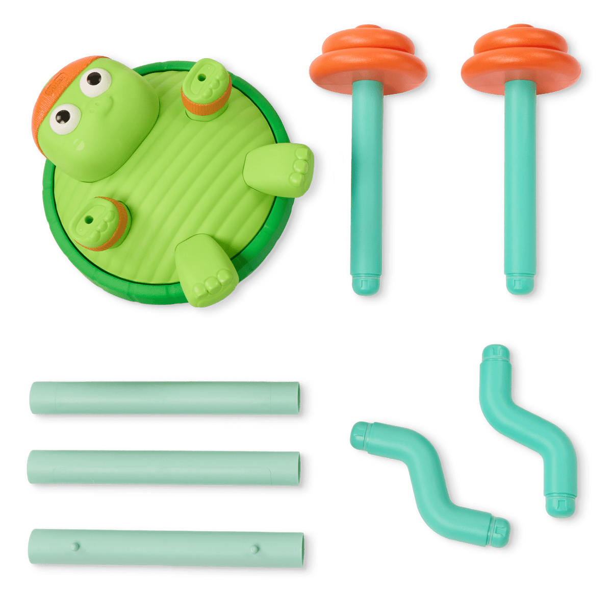 Spin Skip Musical Turtle