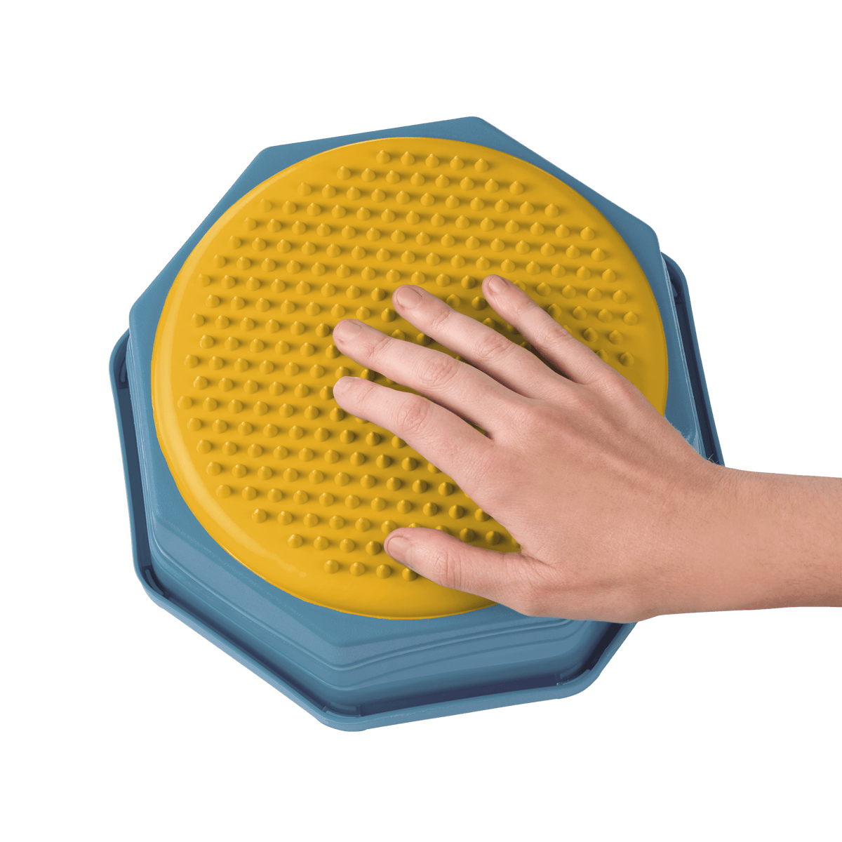 Balance Hop Stepping Stones