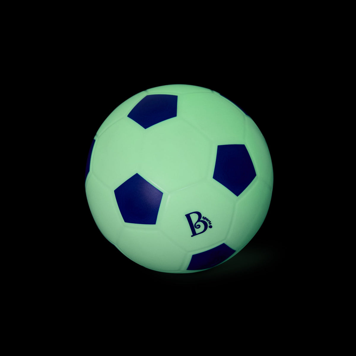 Soccer Net Ball