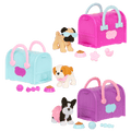Pucci Pups Surprise